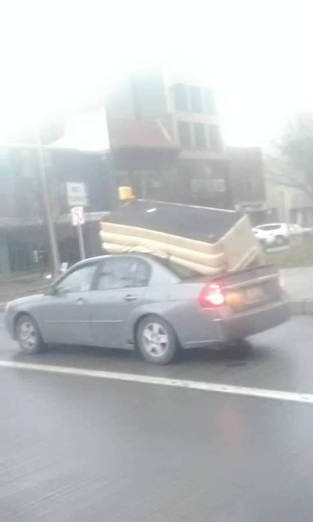 Daily Picdump