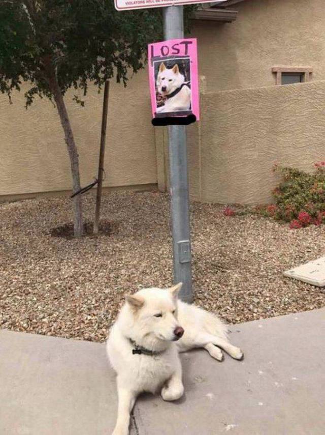 Daily Picdump