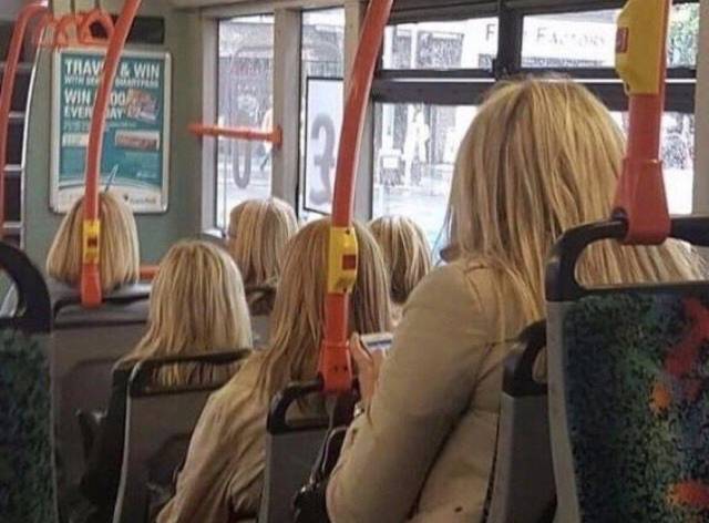 Daily Picdump
