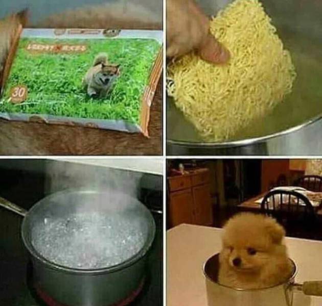 Daily Picdump
