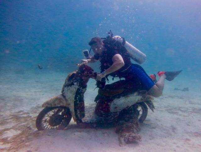 Daily Picdump