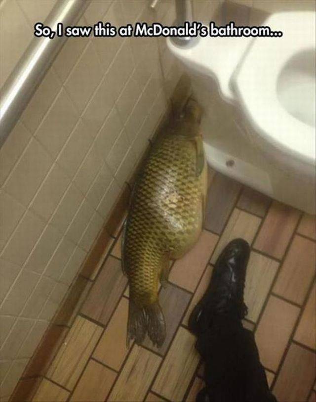 Daily Picdump