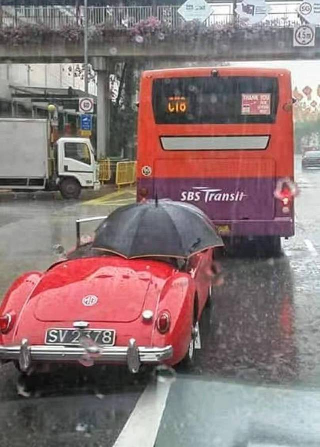 Daily Picdump