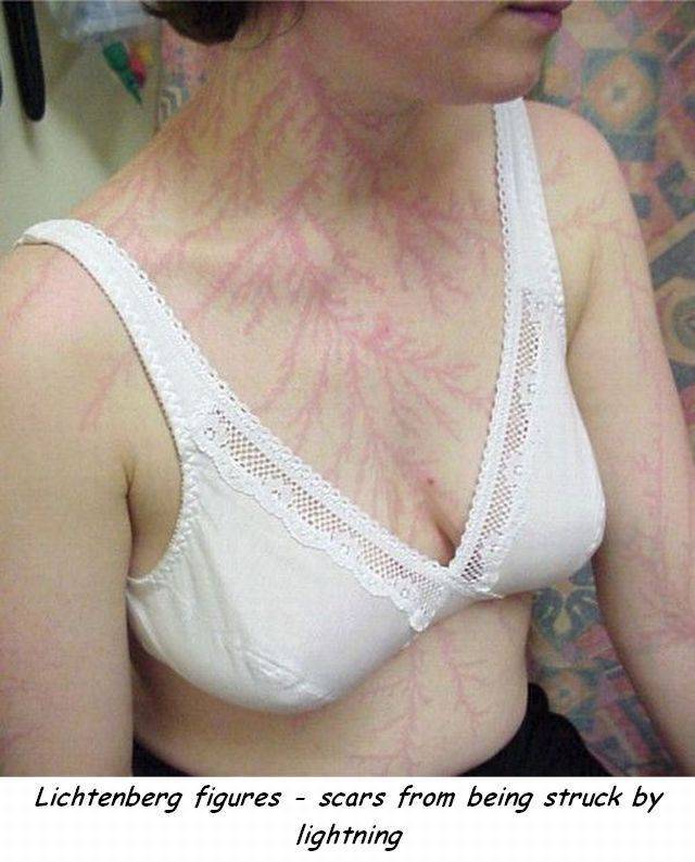 Daily Picdump [WEEKEND EDITION]