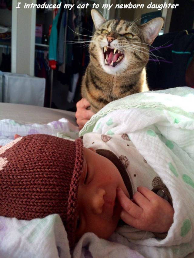 Daily Picdump [WEEKEND EDITION]