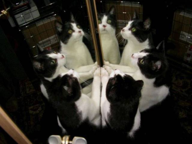 Morning Picdump