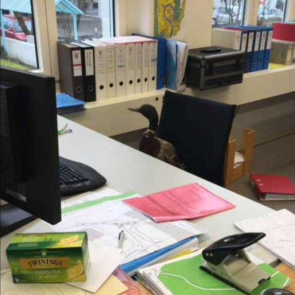 Daily Picdump [WEEKEND EDITION]