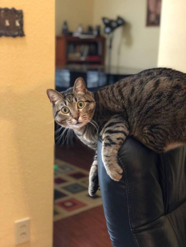 Daily Picdump [WEEKEND EDITION]