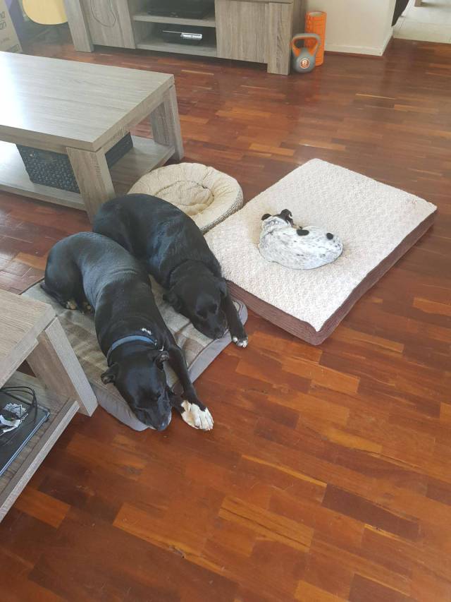 Daily Picdump [WEEKEND EDITION]