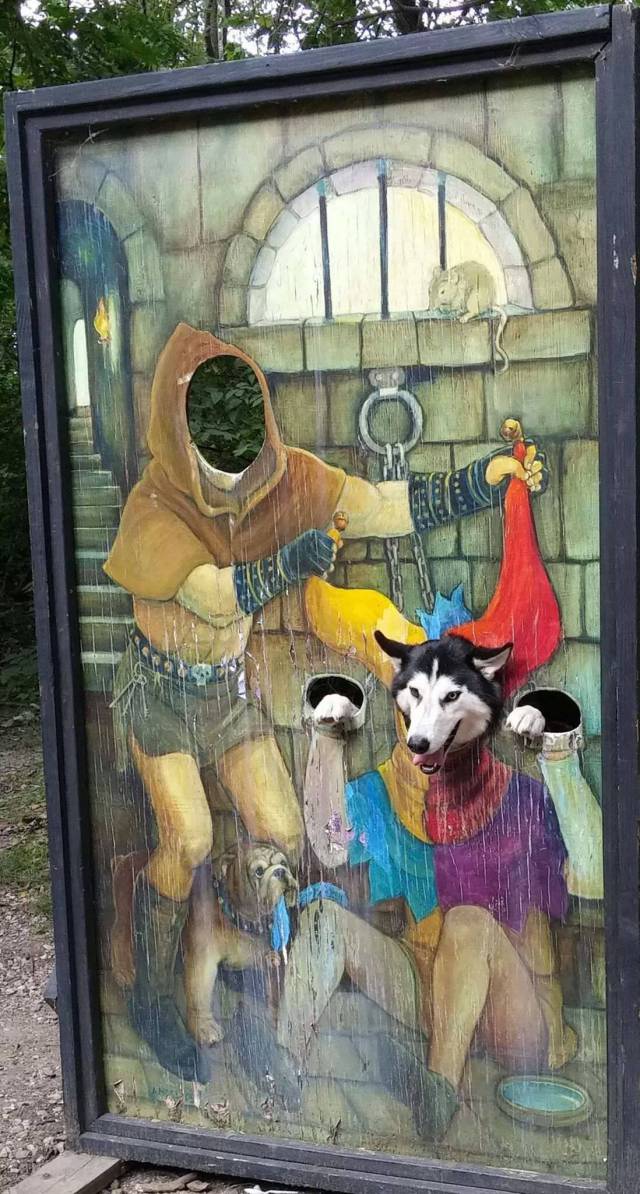 Daily Picdump [WEEKEND EDITION]