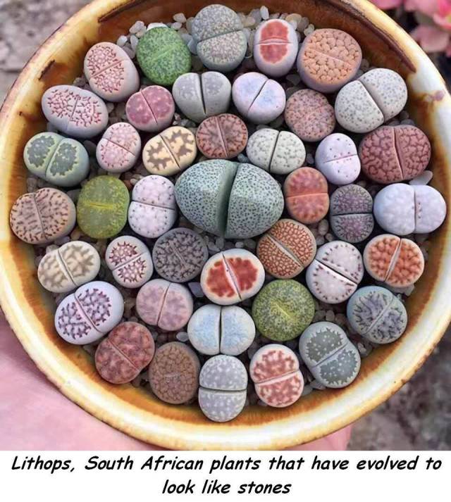 Daily Picdump [WEEKEND EDITION]