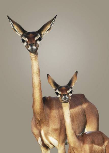 Daily Picdump [WEEKEND EDITION]