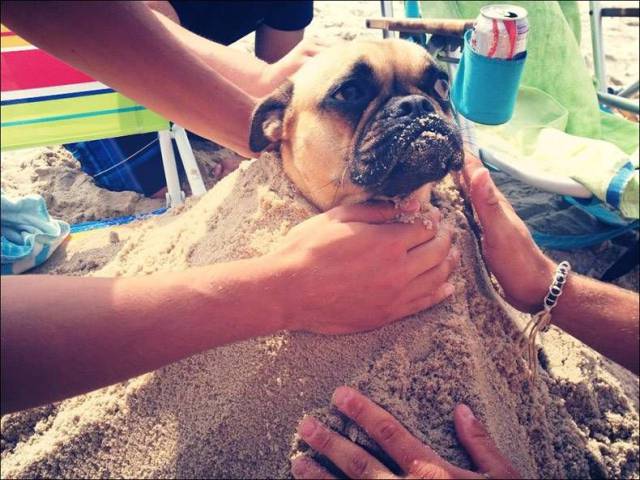 Daily Picdump [WEEKEND EDITION]