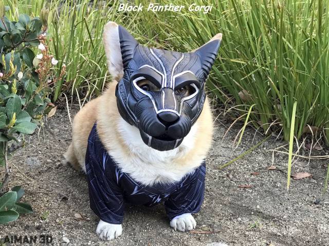 Daily Picdump [WEEKEND EDITION]