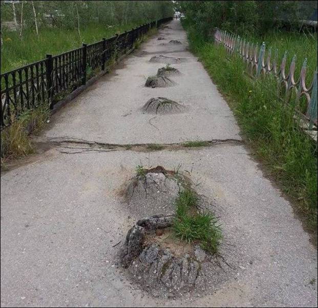 Daily Picdump [WEEKEND EDITION]