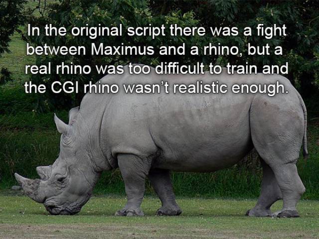 Merciless Facts About “Gladiator”