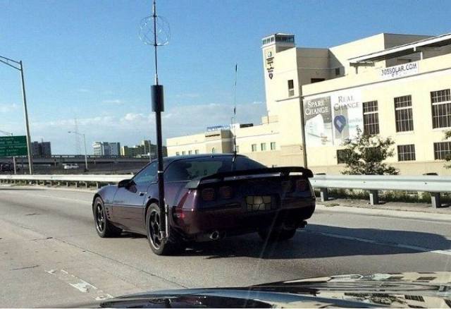 Morning Picdump