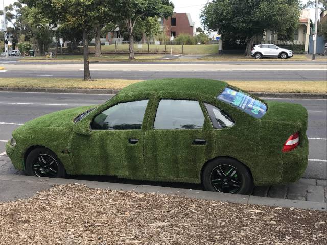 Morning Picdump