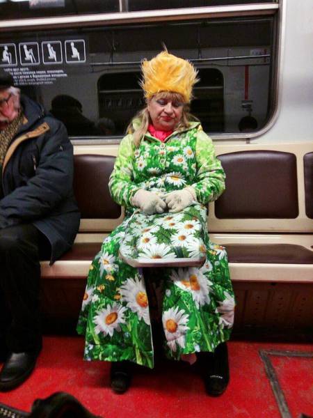 Morning Picdump