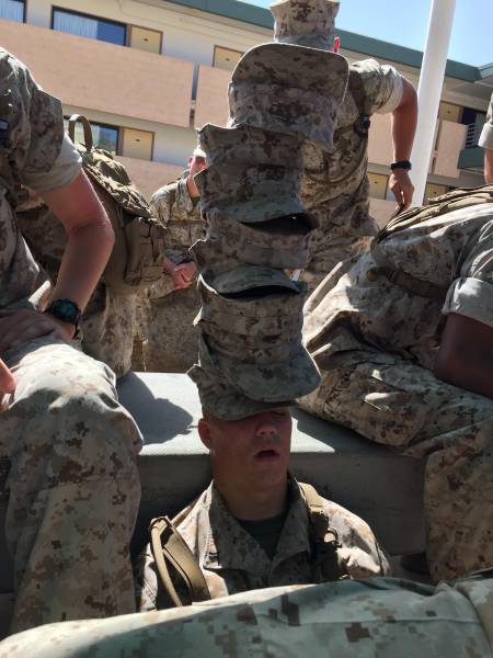 Morning Picdump