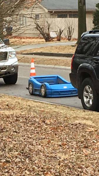 Morning Picdump
