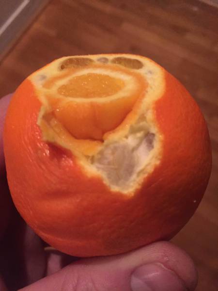 Morning Picdump
