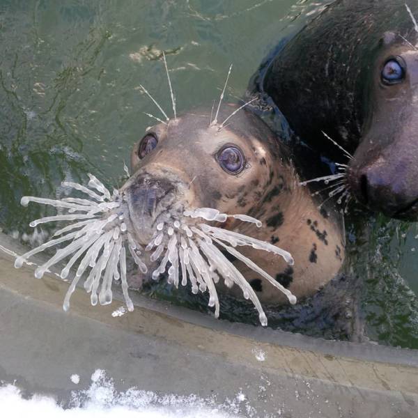 Morning Picdump