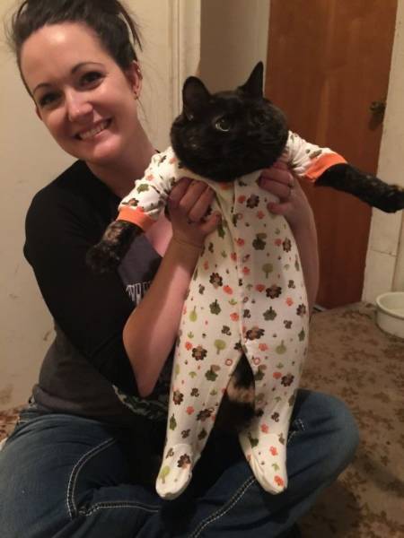Morning Picdump