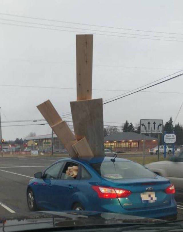 Morning Picdump