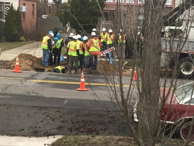 Daily Picdump [WEEKEND EDITION]