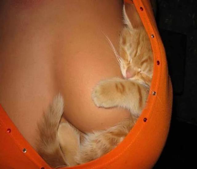 Boobs Are Indeed Almighty!