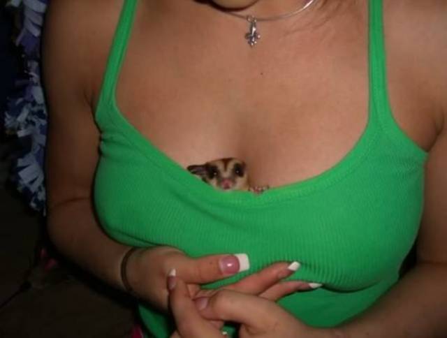 Boobs Are Indeed Almighty!