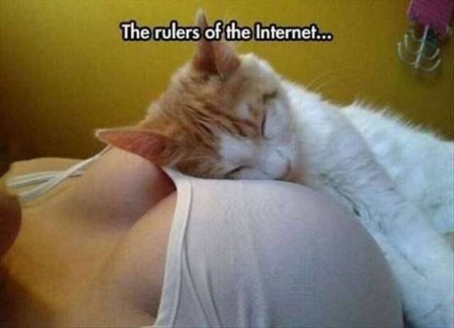 Boobs Are Indeed Almighty!