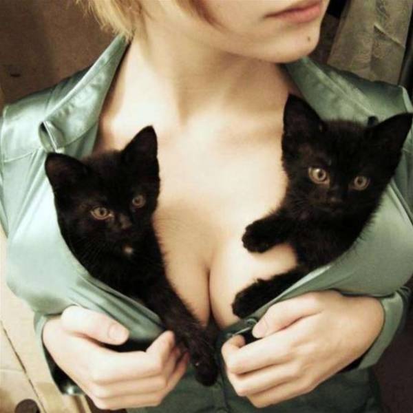 Boobs Are Indeed Almighty!