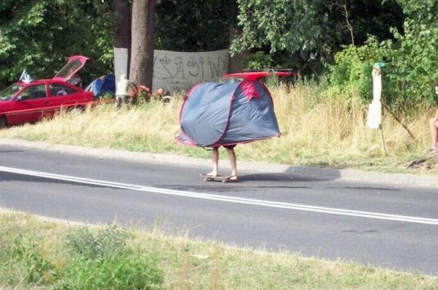Daily Picdump