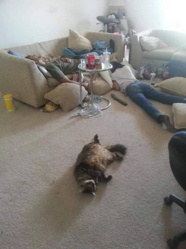 Daily Picdump