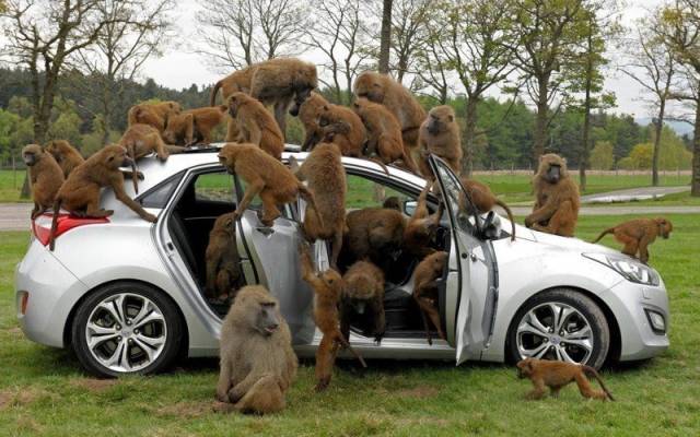 Daily Picdump