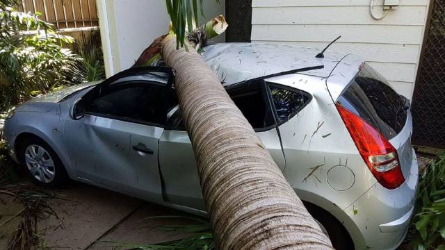 Daily Picdump