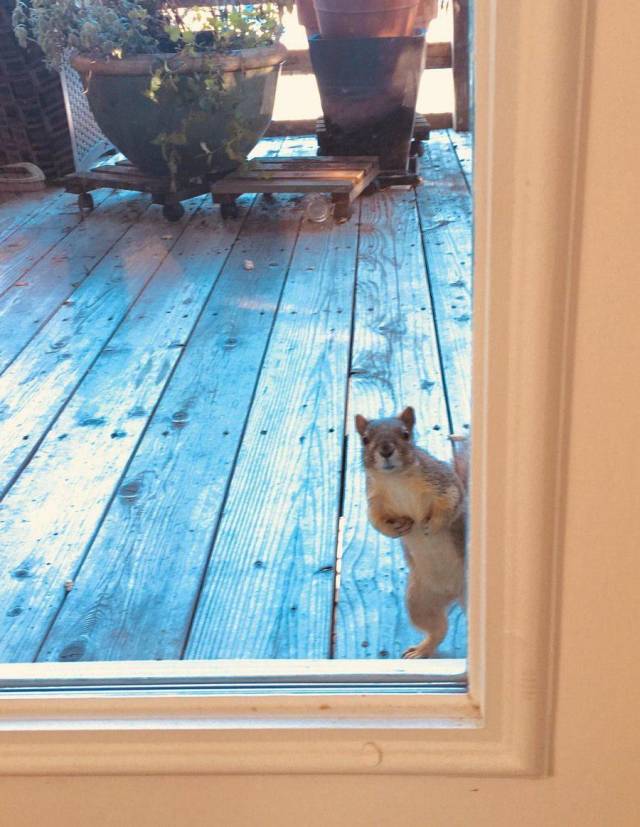 Daily Picdump