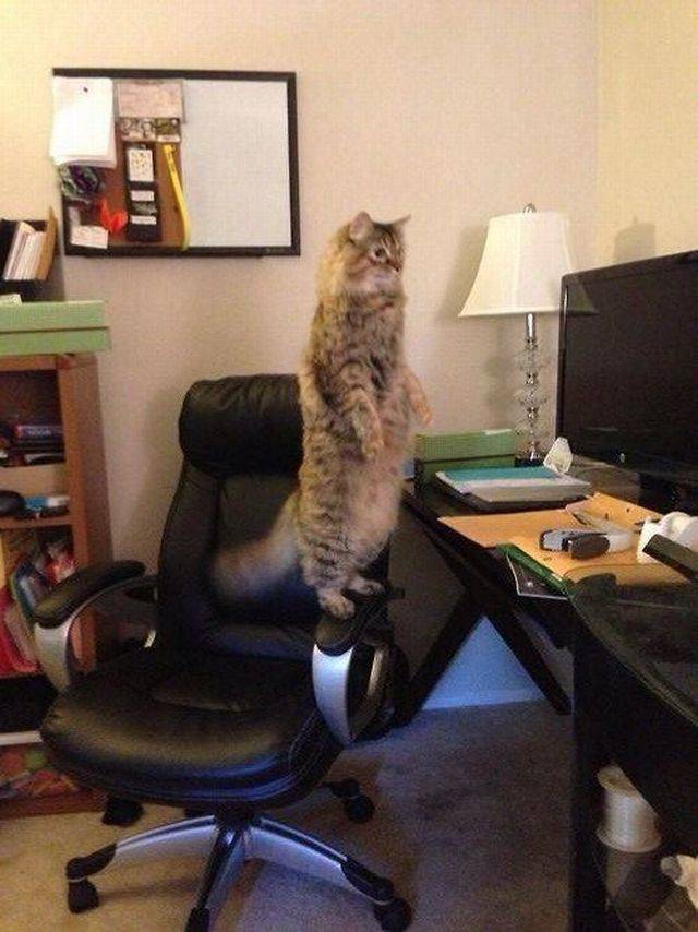 Daily Picdump