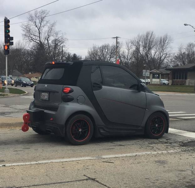 Morning Picdump