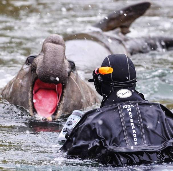 Daily Picdump