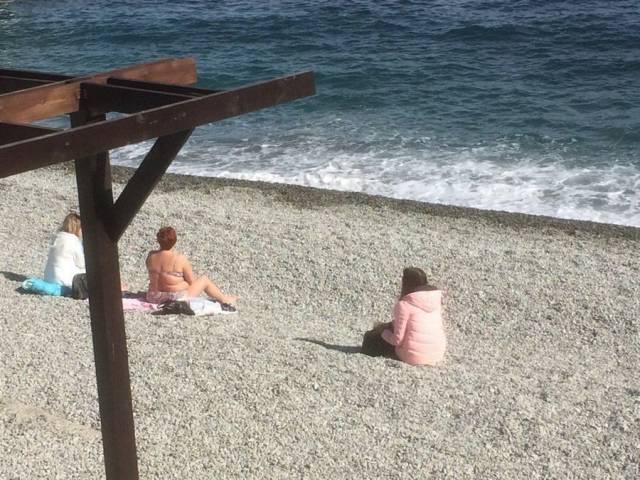 Daily Picdump