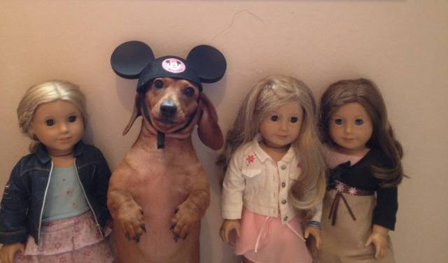 Daily Picdump