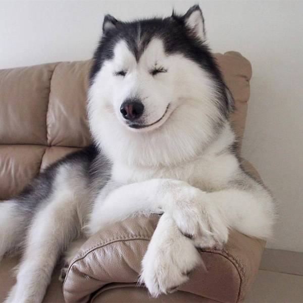 Daily Picdump
