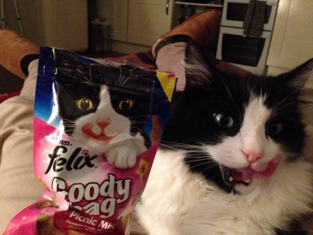 Daily Picdump