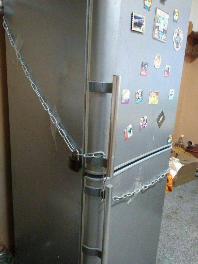 Daily Picdump