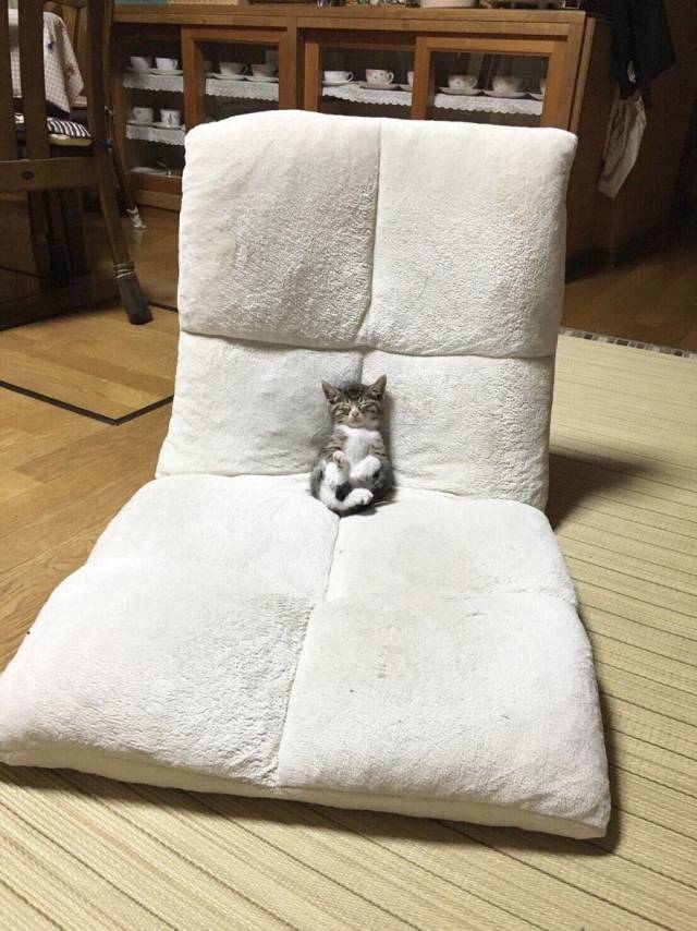 Daily Picdump