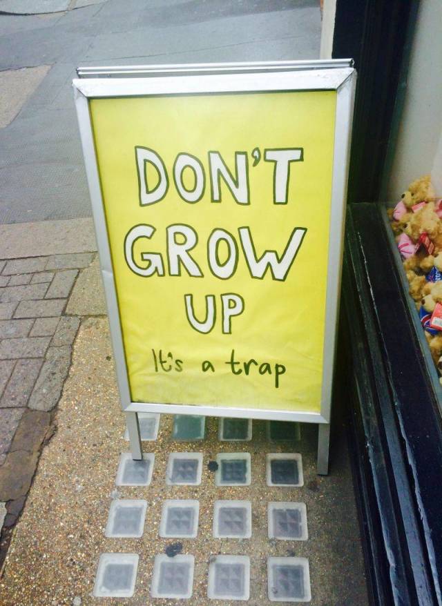 Daily Picdump