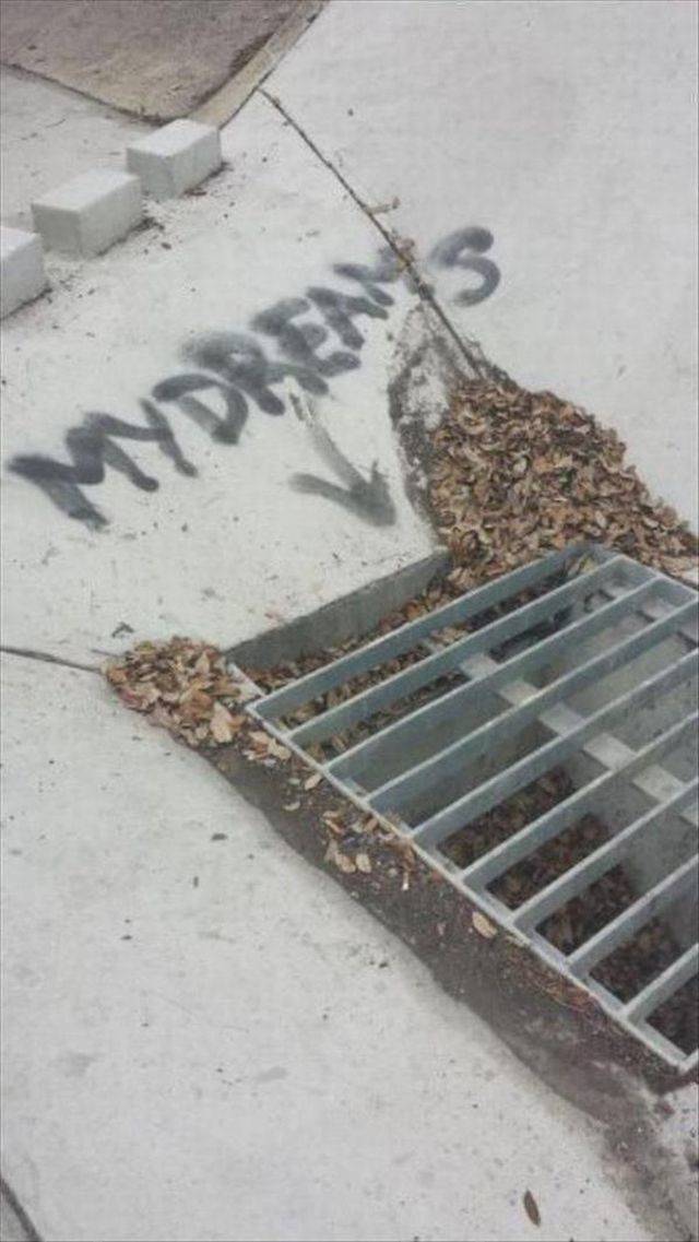 Daily Picdump